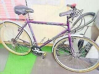 RALEIGH ATB FULLY SERVICED - Click Image to Close